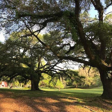 Canemount Plantation Inn Westside Екстериор снимка