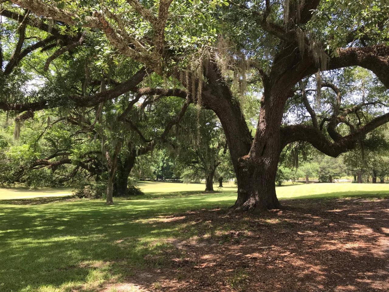 Canemount Plantation Inn Westside Екстериор снимка